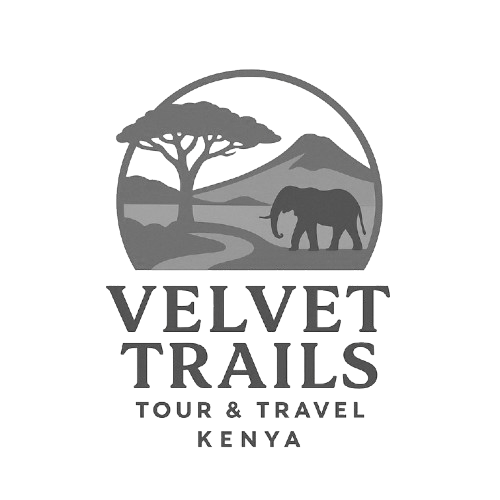 Velvet Trails logo